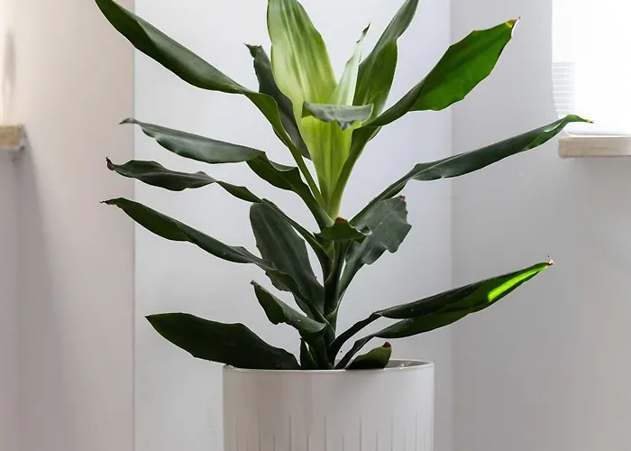 2bdr Just Off Seafront Appartement *